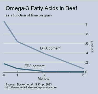 Diseases From Obesity